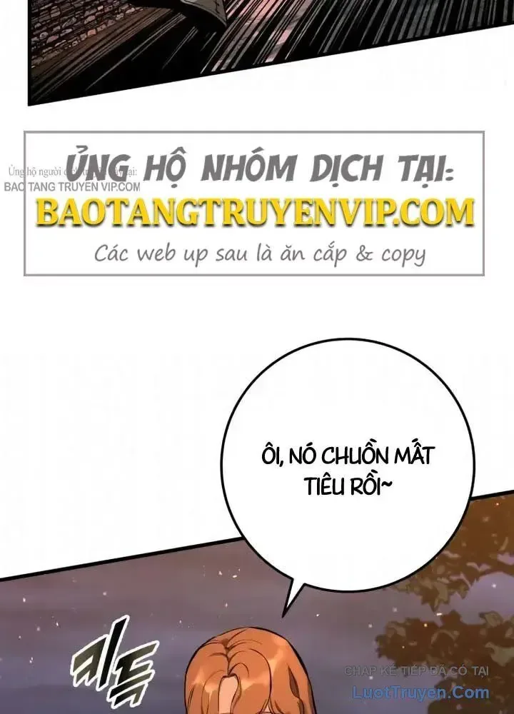 Kỵ Sĩ Lang Thang chương 23 - trang 11