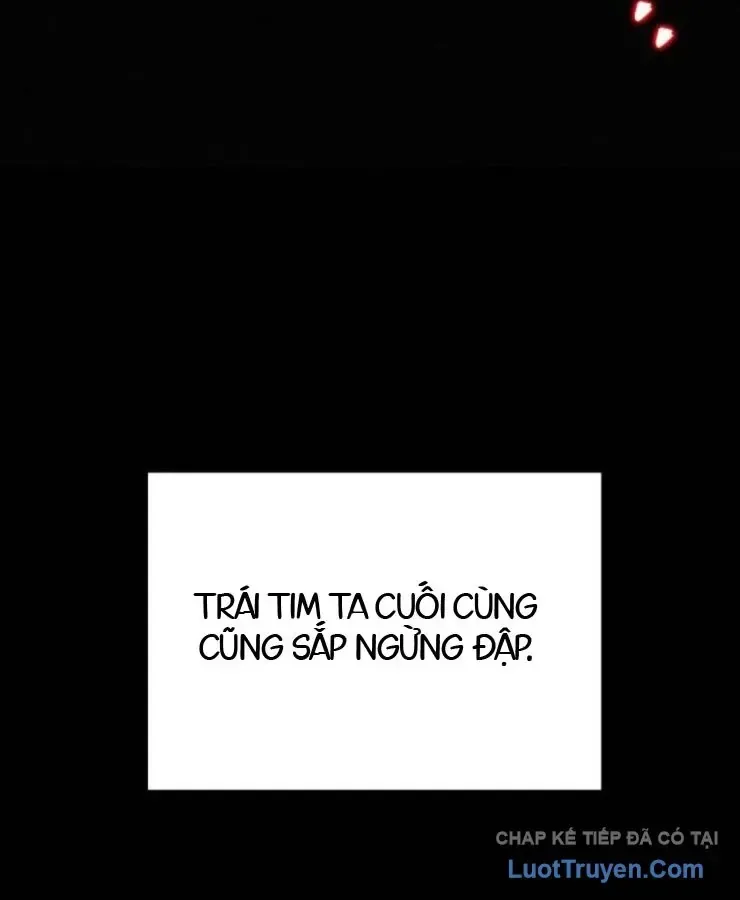 Kỵ Sĩ Lang Thang chương 30 - trang 133