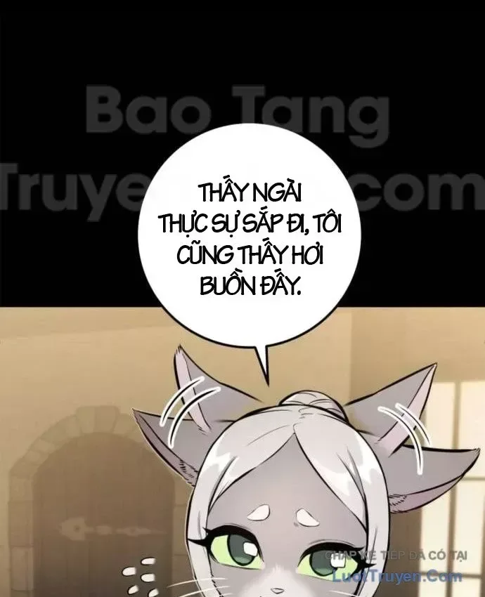 Kỵ Sĩ Lang Thang chương 37 - trang 65