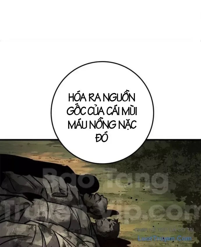 Kỵ Sĩ Lang Thang chương 37 - trang 229