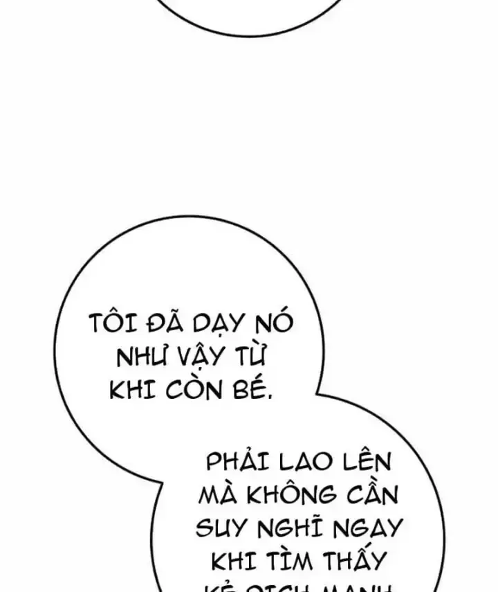 Kỵ Sĩ Lang Thang chương 52 - trang 26