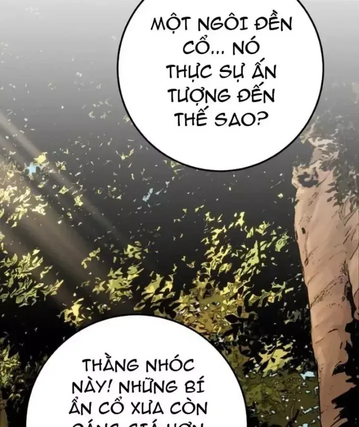 Kỵ Sĩ Lang Thang chương 52 - trang 163