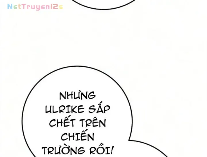 Kỵ Sĩ Lang Thang chương 55 - trang 312