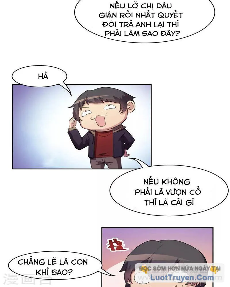 Con Rể Của Các Vị Thần chương 8 - trang 11