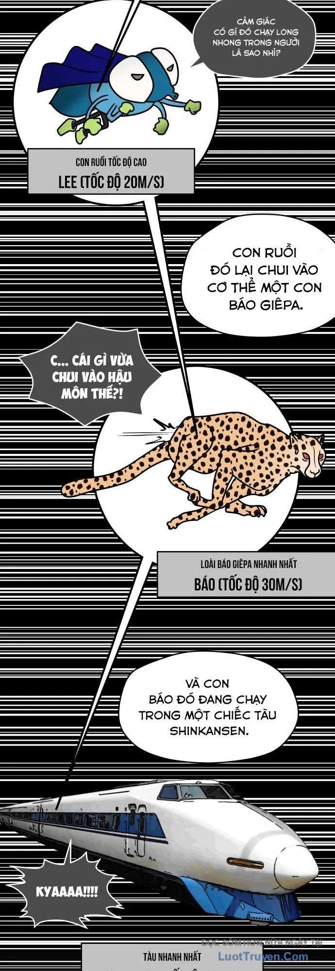 Thiếu Nữ Vượt Thời Gian chương 4 - trang 15