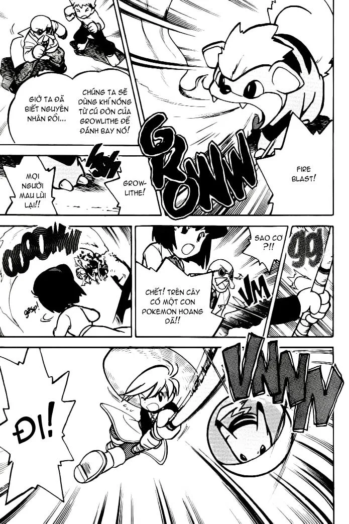 Pokemon Special chương 49 - trang 5
