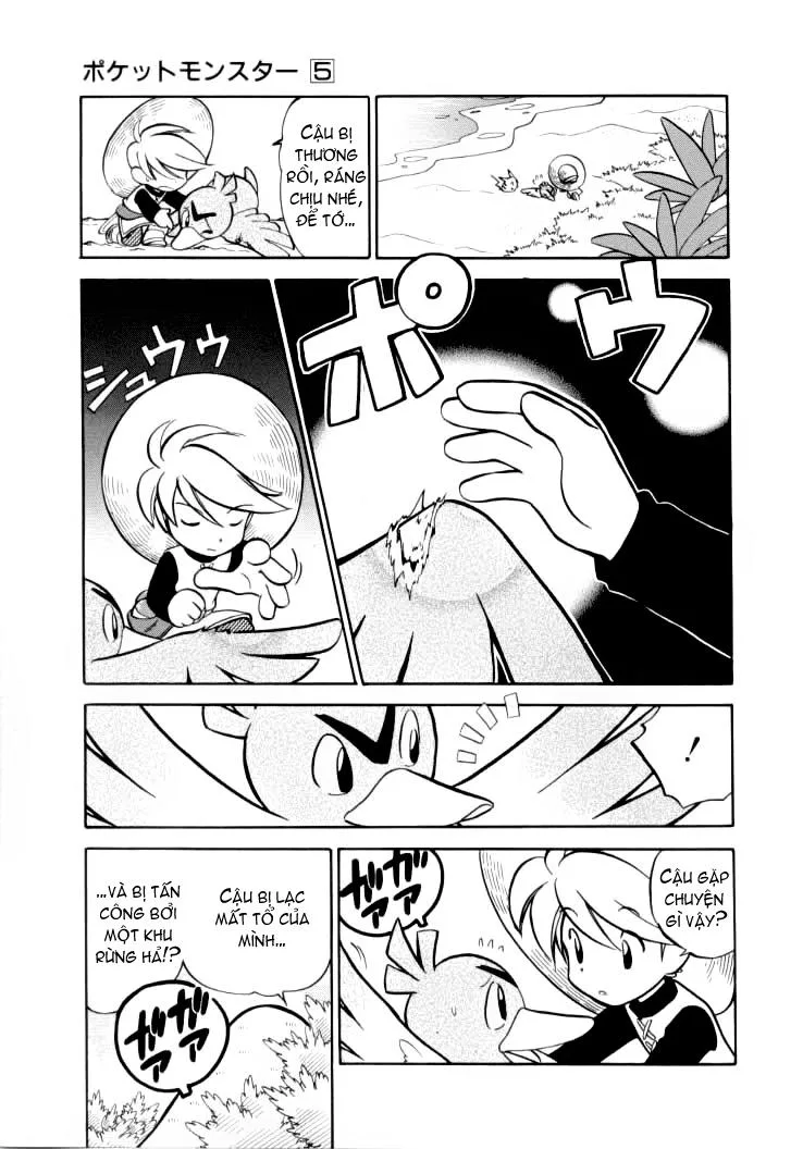 Pokemon Special chương 63 - trang 4