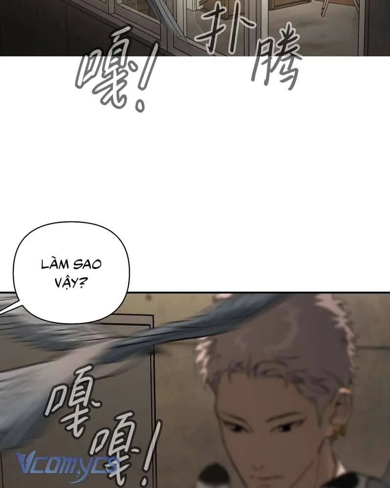 Ác Chi Hoàn chương 71.2 - trang 72