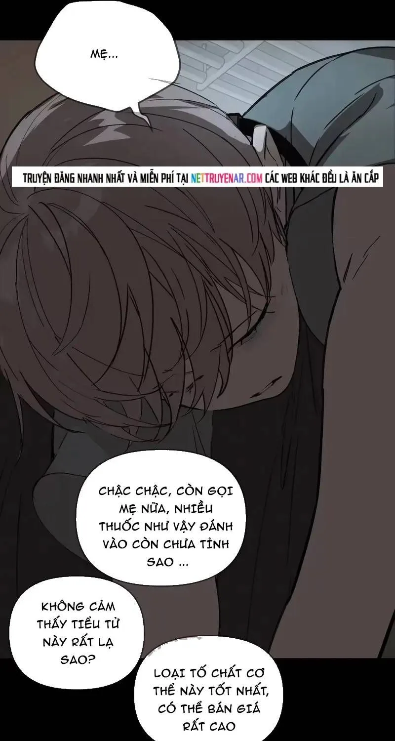 Ác Chi Hoàn chương 81 - trang 107