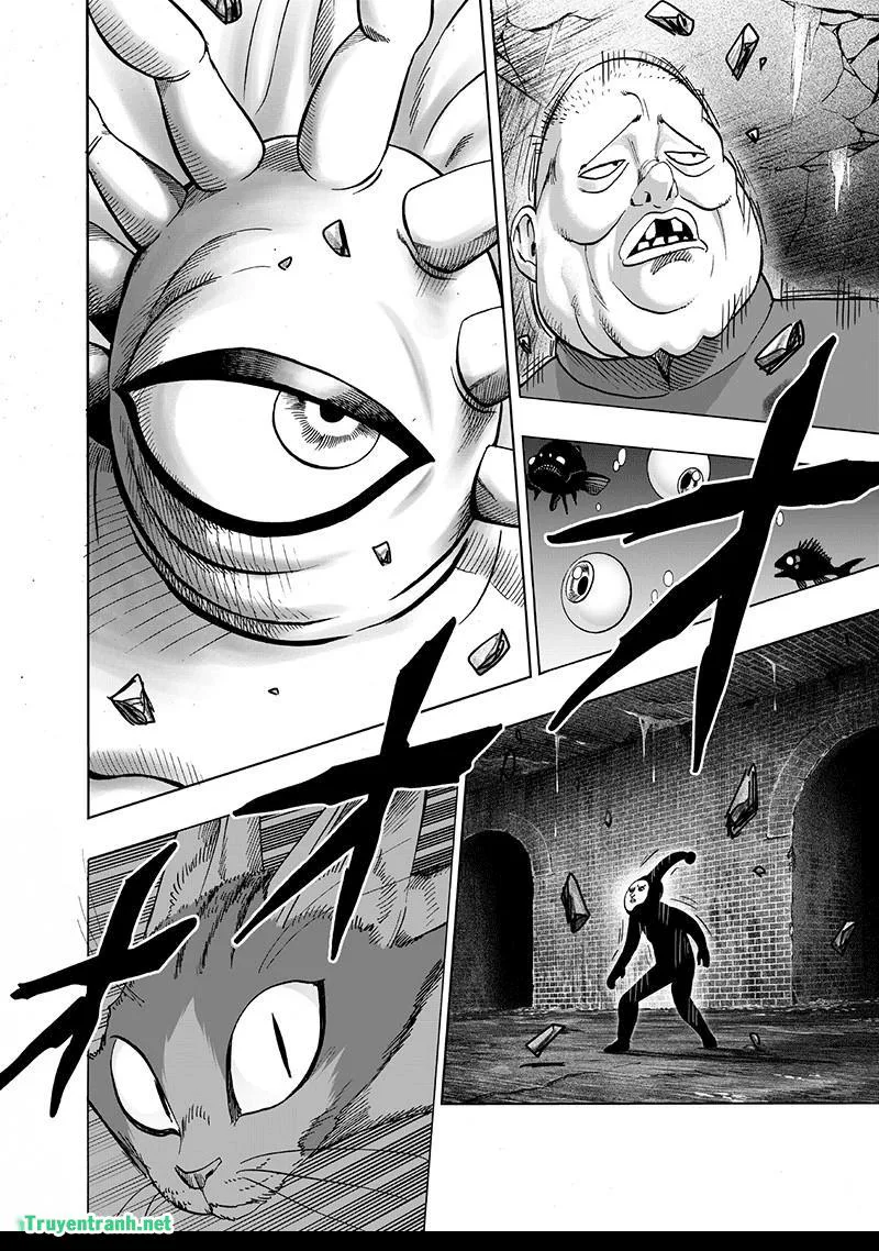 Onepunch Man chương 150 - trang 24