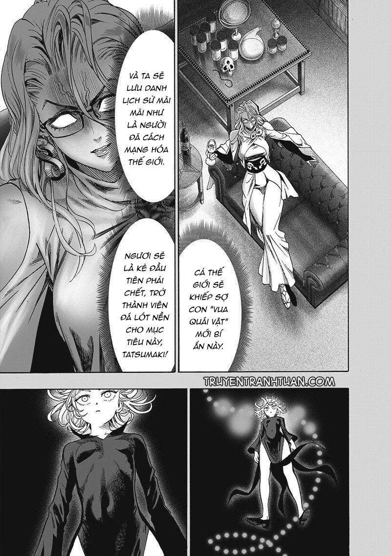 Onepunch Man chương 167 - trang 17
