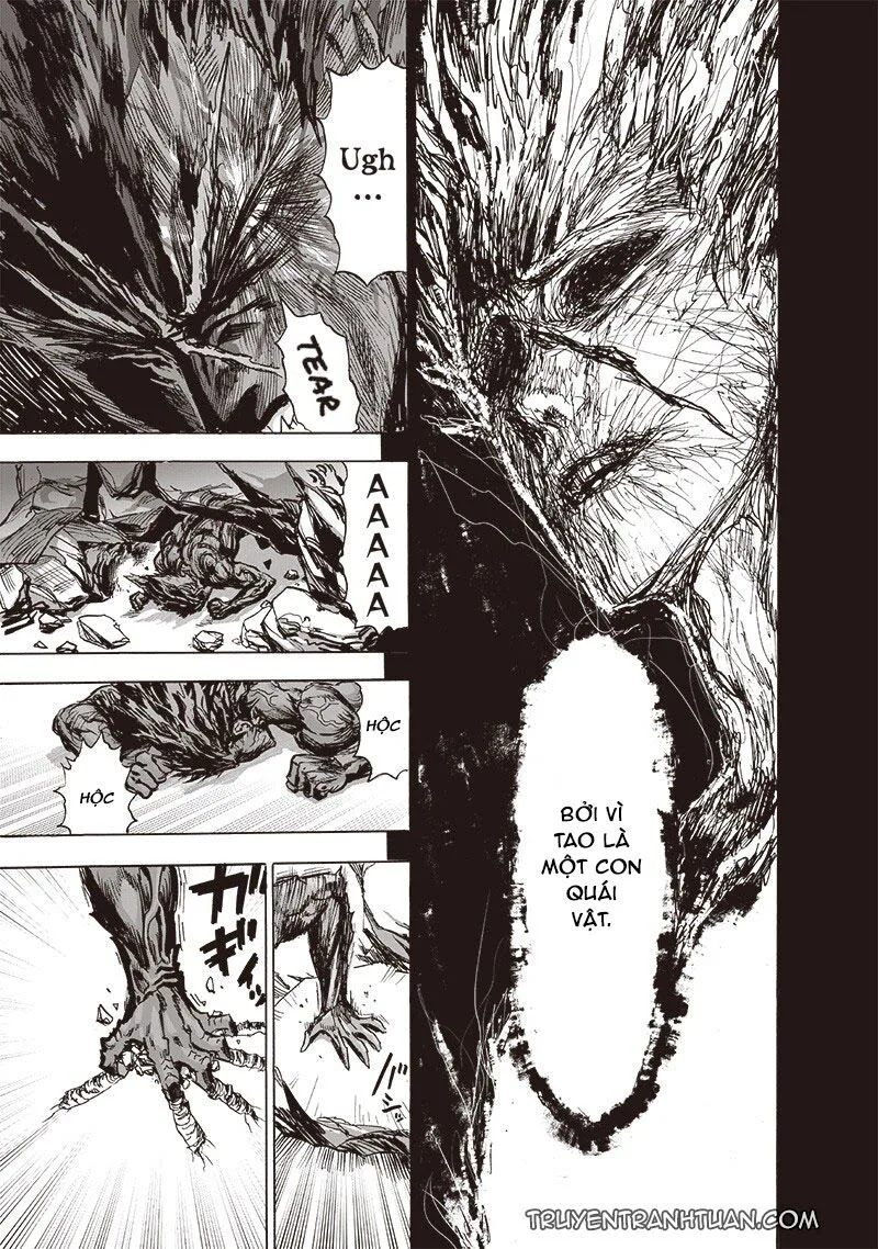 Onepunch Man chương 183 - trang 12