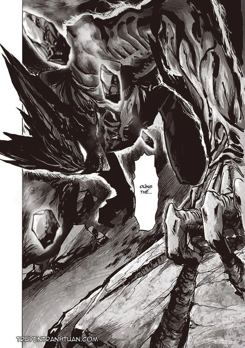 Onepunch Man chương 183 - trang 13
