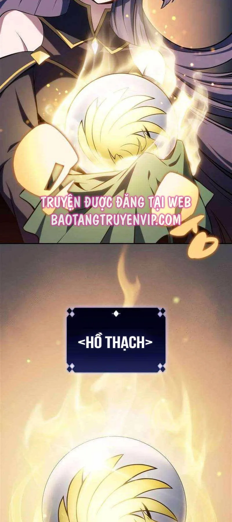 Người Chơi Mới Cấp Tối Đa chương 151 - trang 23