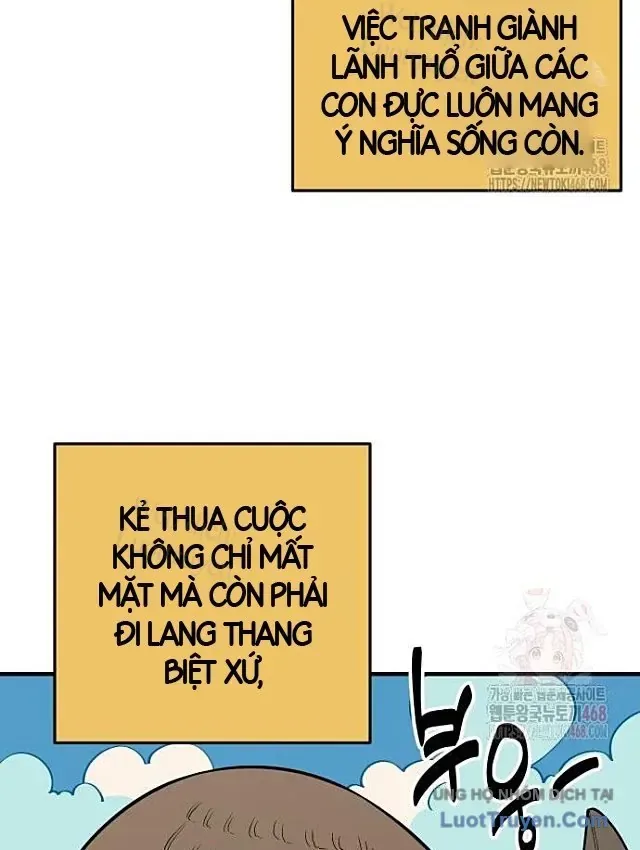 Động Vật Tiền Sử chương 21 - trang 36