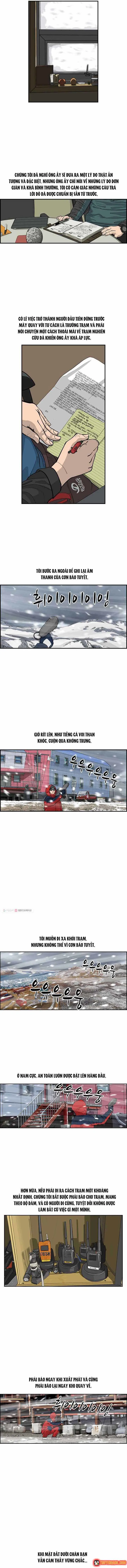 Cá Con (Vảy Cá) chương 22 - trang 3
