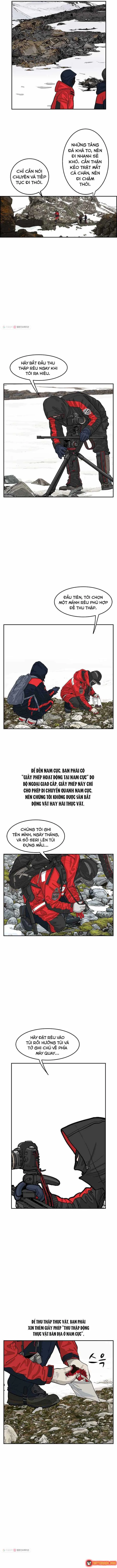 Cá Con (Vảy Cá) chương 30 - trang 5