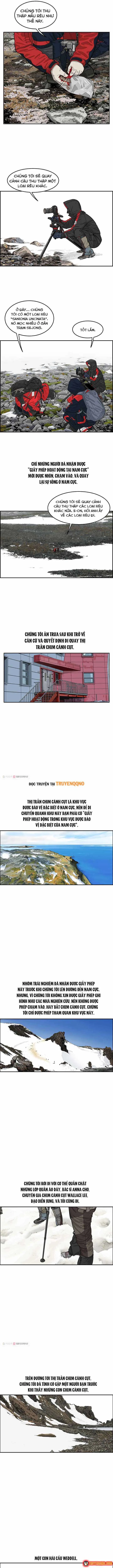 Cá Con (Vảy Cá) chương 30 - trang 6