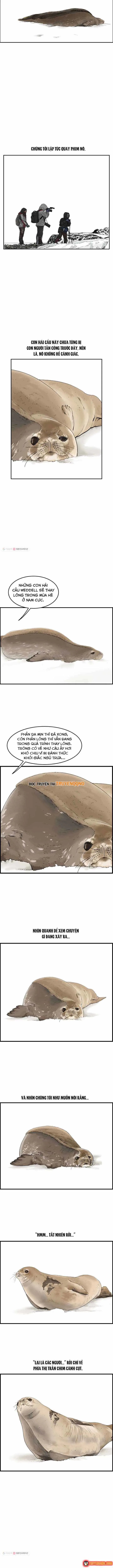Cá Con (Vảy Cá) chương 30 - trang 7