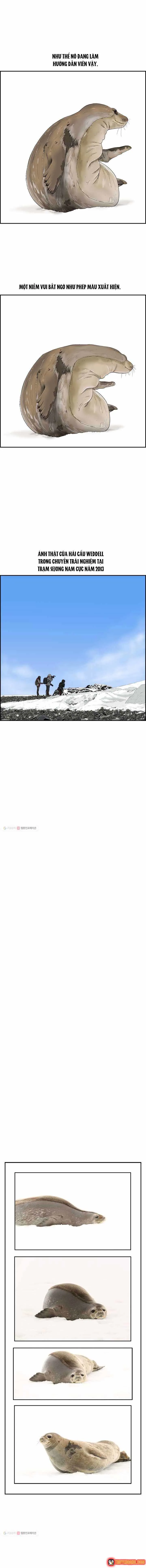Cá Con (Vảy Cá) chương 30 - trang 8