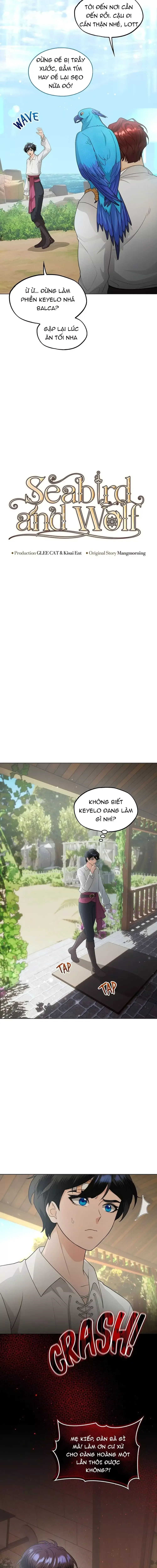Hải Âu & Sói Hoang chương 41 - trang 4