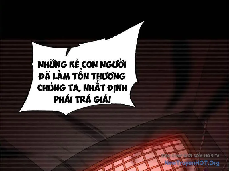 Tối Cường Tinh Thú Sư chương 9 - trang 35