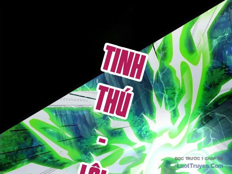 Tối Cường Tinh Thú Sư chương 26 - trang 37
