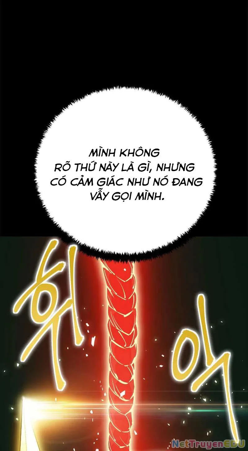 Lv 1 Bất Khả Chiến Bại chương 19 - trang 11