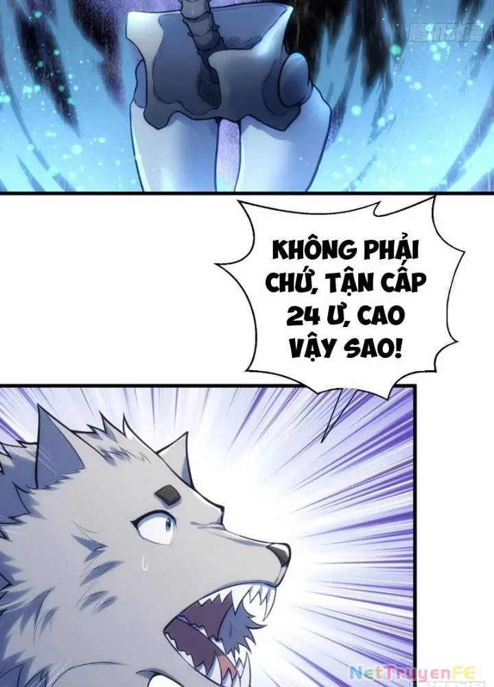 Từ Dã Quái Bắt Đầu Thăng Cấp chương 14 - trang 39