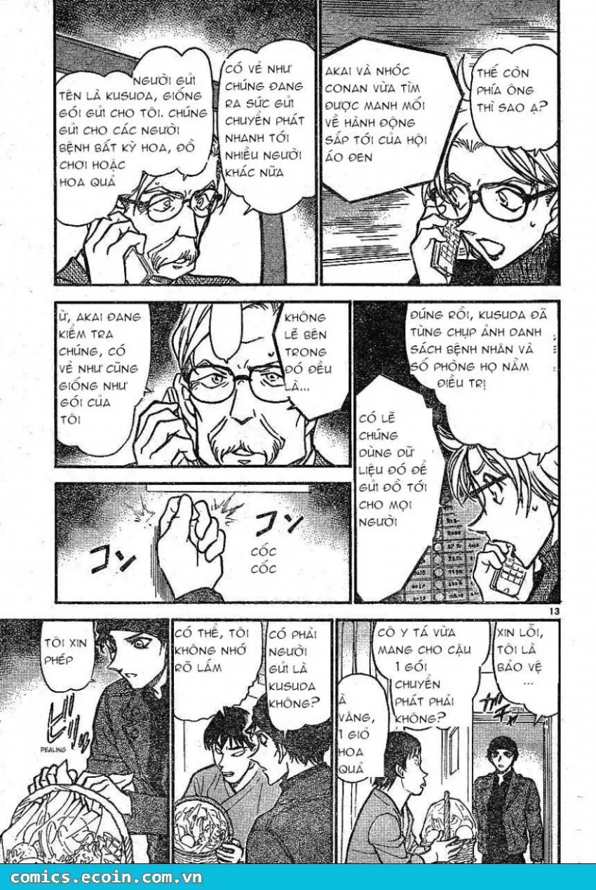Thám Tử Conan chương 601 - trang 13