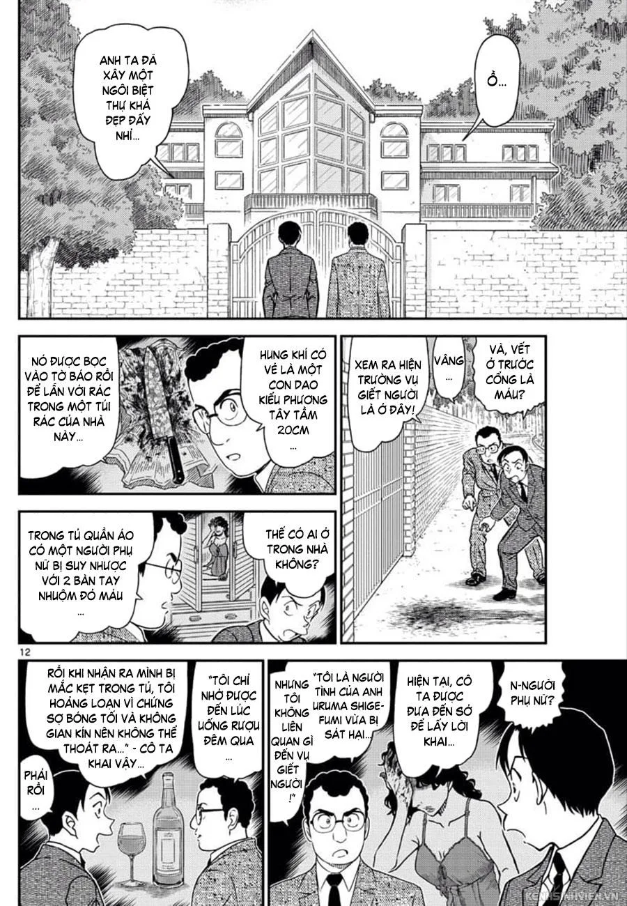 Thám Tử Conan chương 1033 - trang 12