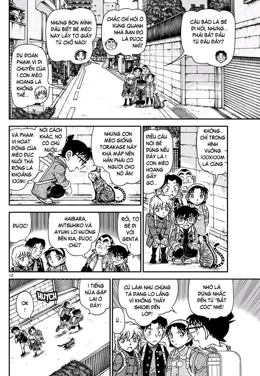 Thám Tử Conan chương 1123 - trang 12