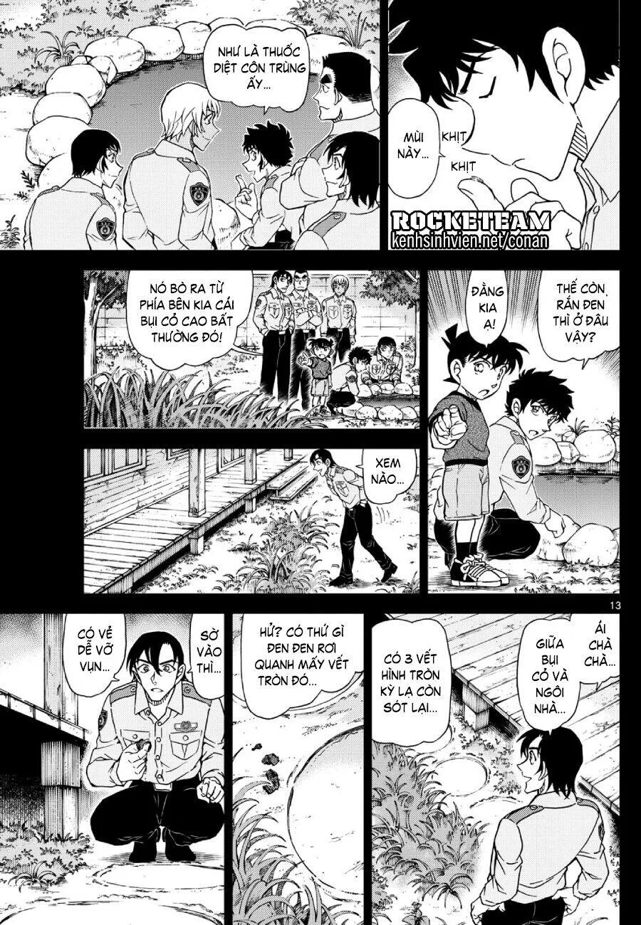 Thám Tử Conan chương 1134 - trang 14