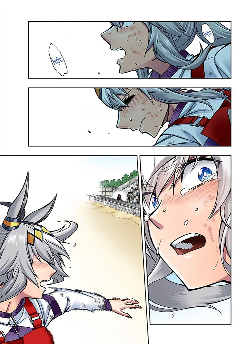Uma Musume: Cinderella Gray chương 15 - trang 13