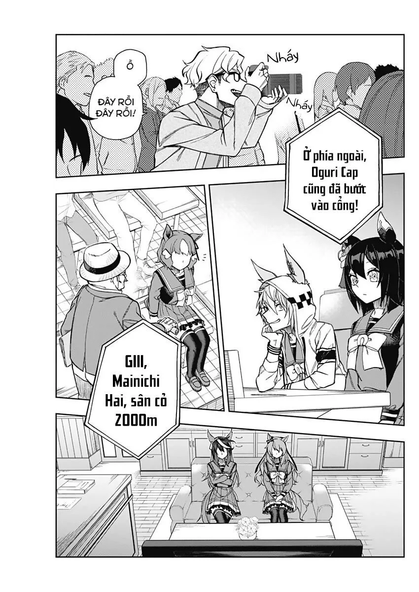 Uma Musume: Cinderella Gray chương 22 - trang 14
