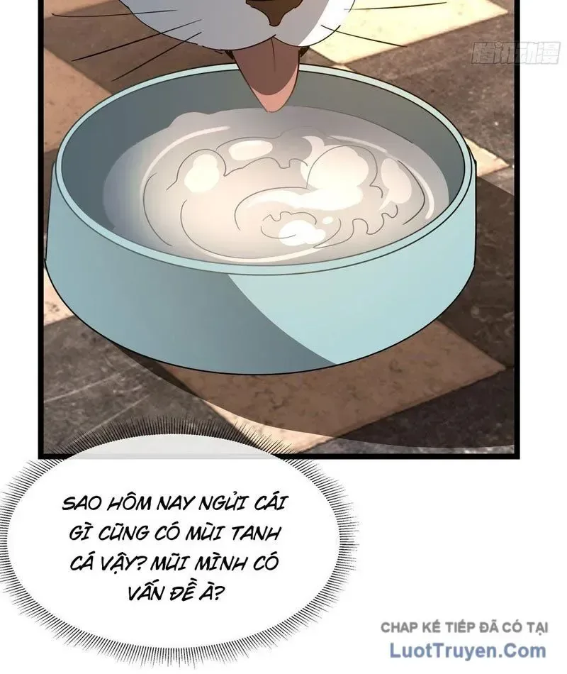 Phổ La Chi Chủ chương 15 - trang 89