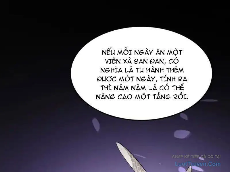Phổ La Chi Chủ chương 18 - trang 106