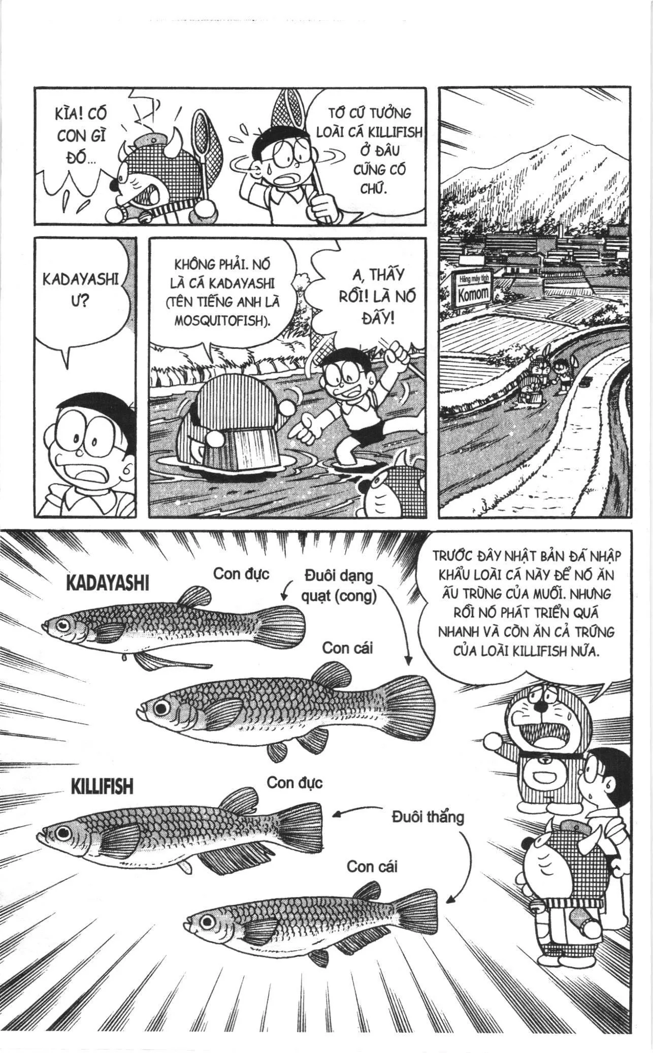 Đội Quân Doraemon Đặc Biệt chương 140 - trang 3