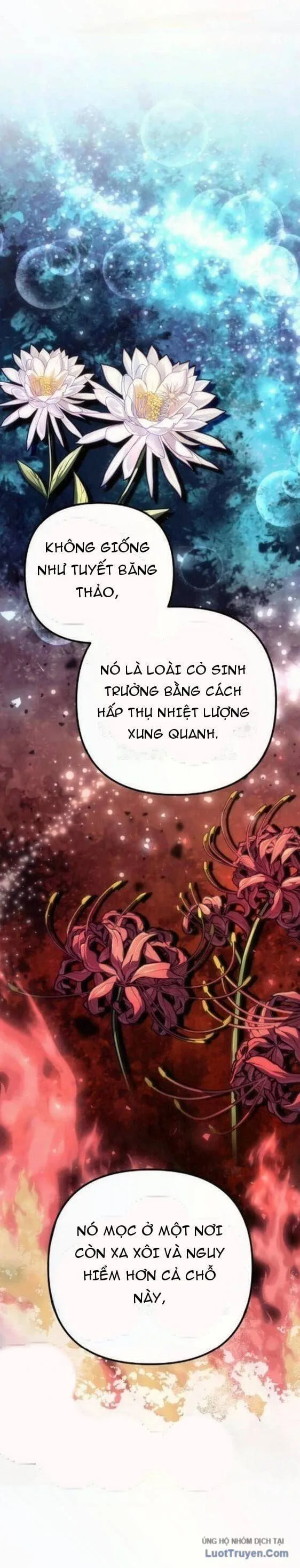 Thần Thịnh Vượng chương 34 - trang 28