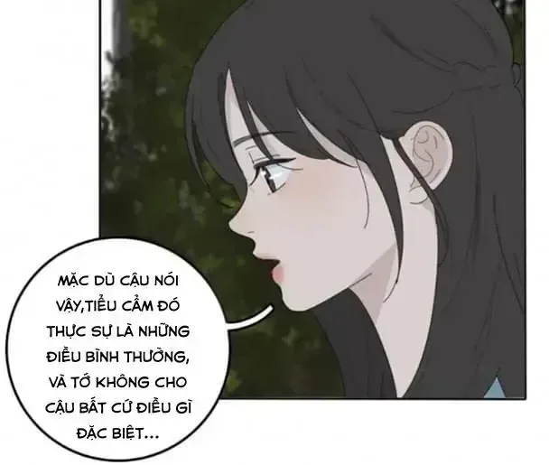Dương Gian Bách Lý Cẩm chương 78 - trang 11