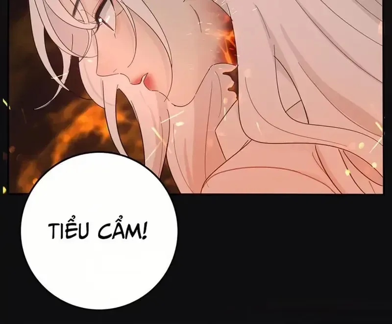 Dương Gian Bách Lý Cẩm chương 161 - trang 23