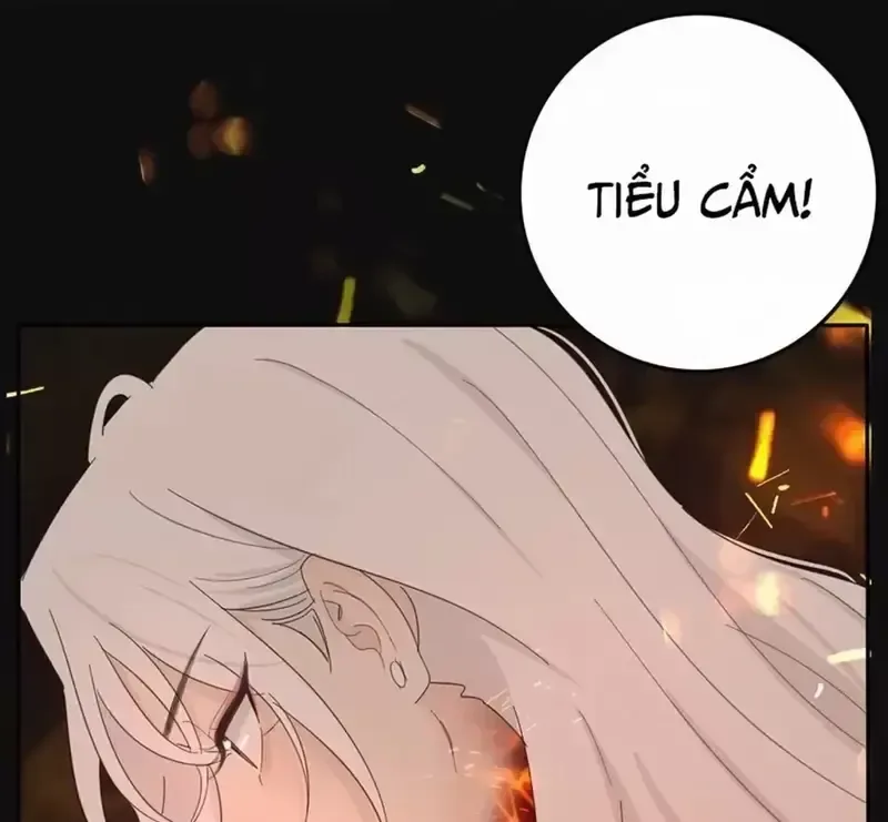 Dương Gian Bách Lý Cẩm chương 161 - trang 105