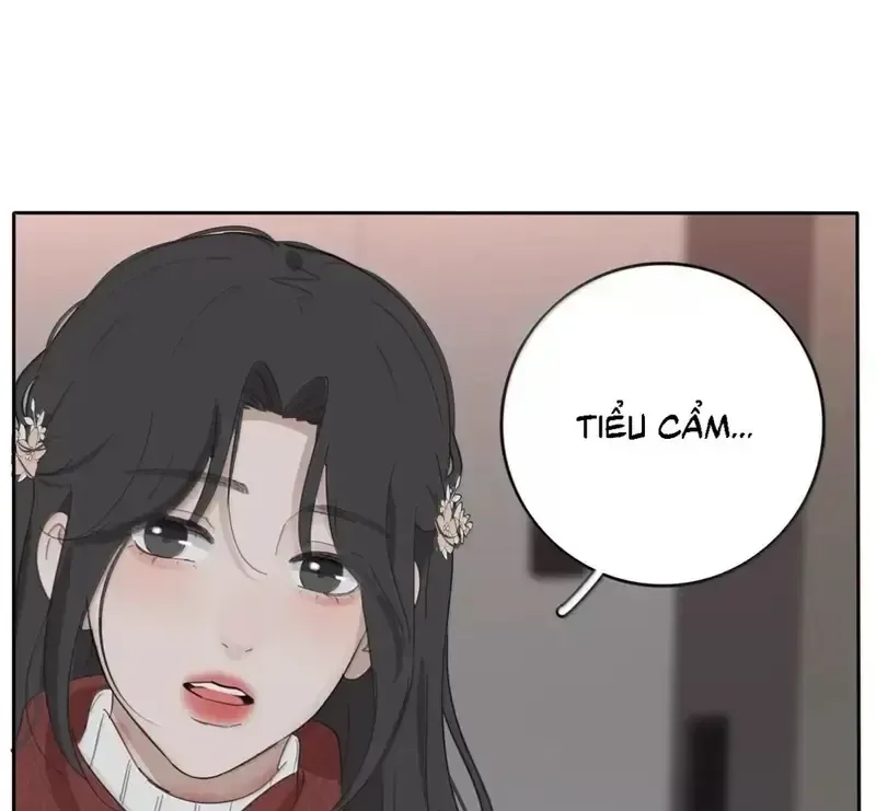 Dương Gian Bách Lý Cẩm chương 196 - trang 63