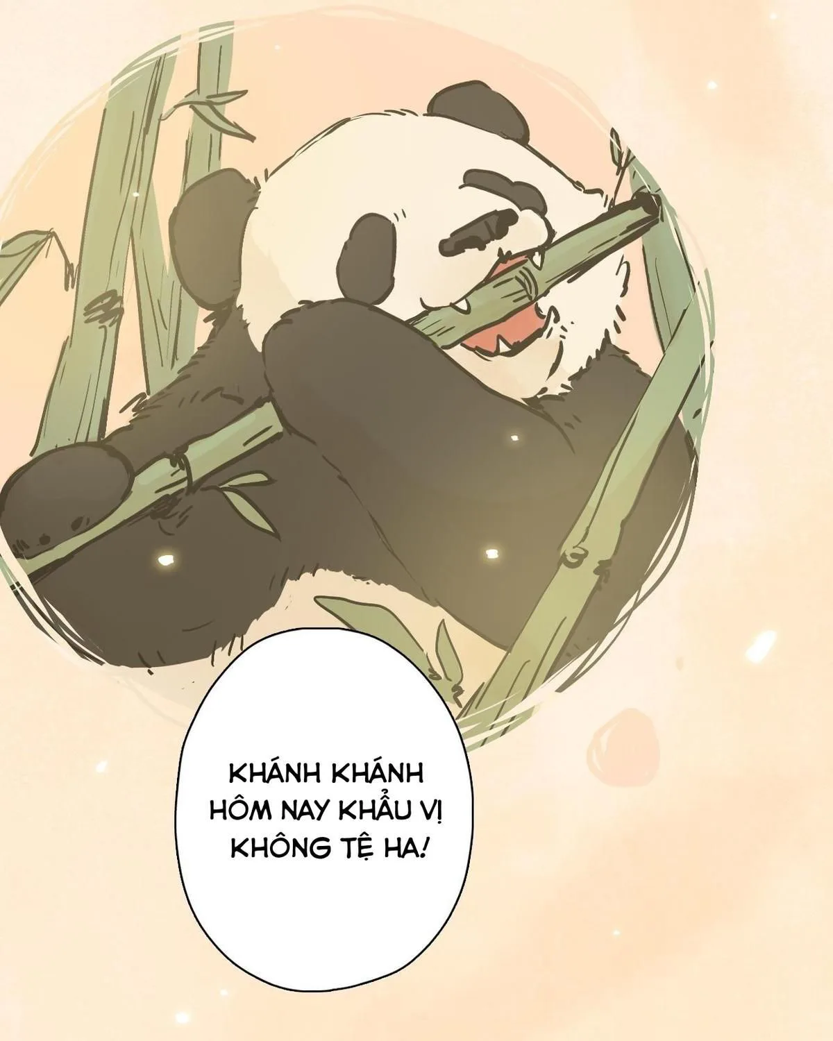 Năm Bạn Mèo chương 23 - trang 11
