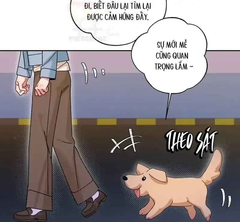 Lén Lút Trốn Khỏi Em chương 53 - trang 50