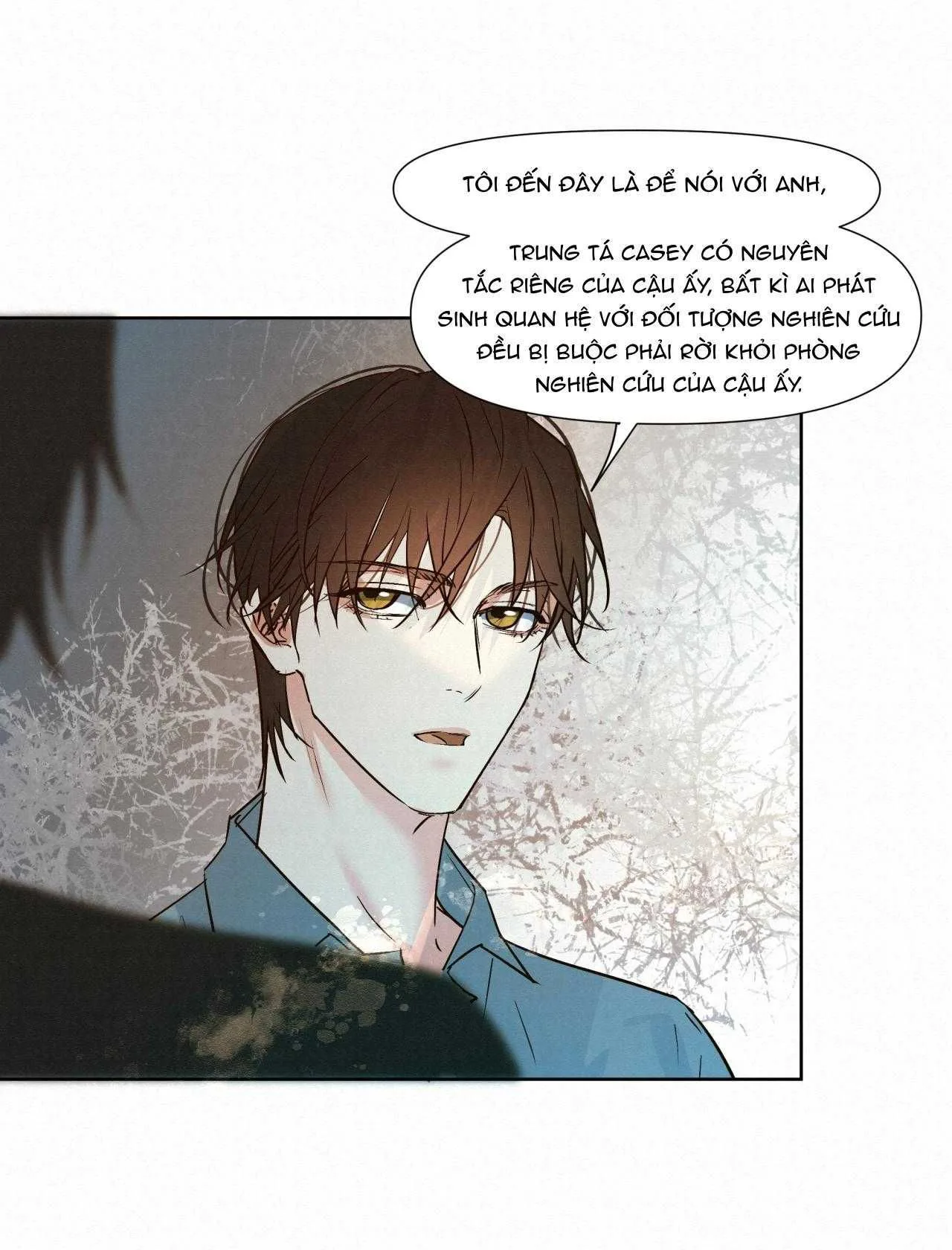 Trỗi Dậy Từ Tro Tàn chương 46 - trang 25