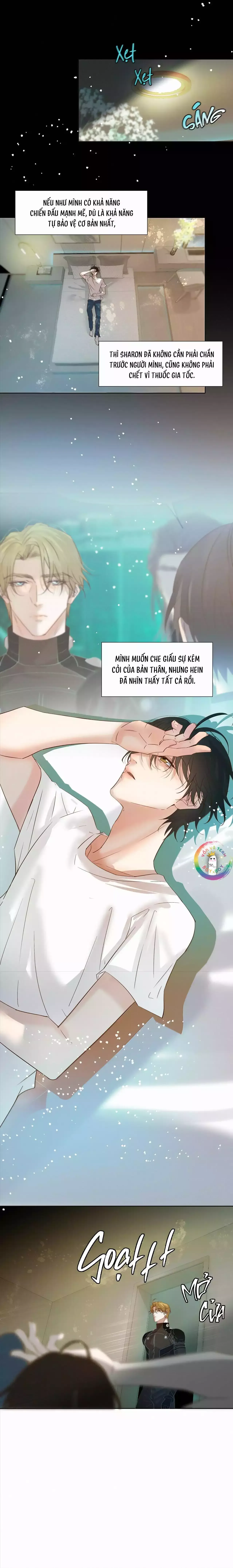Trỗi Dậy Từ Tro Tàn chương 82 - trang 15