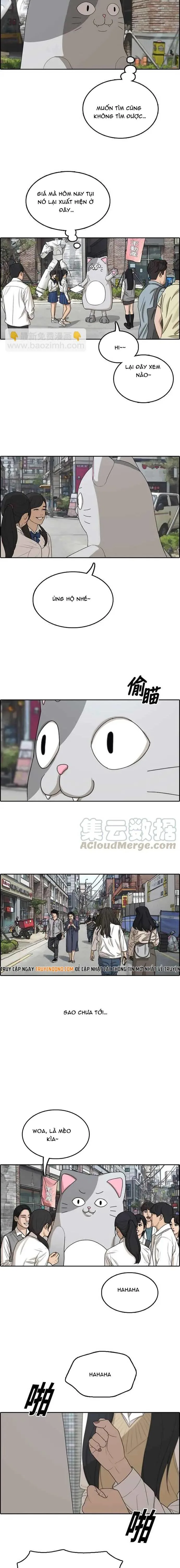 Free Draw chương 312 - trang 8