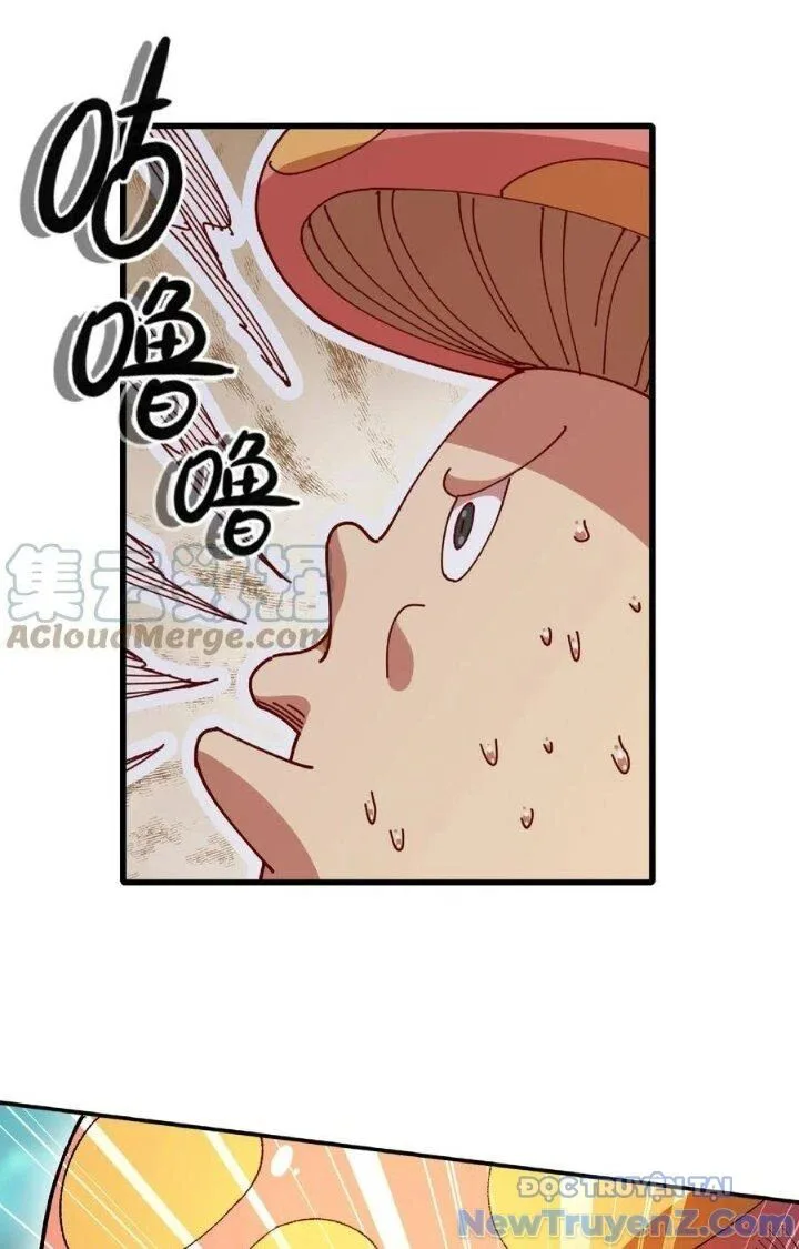 Dũng Sĩ Nấm chương 84 - trang 10
