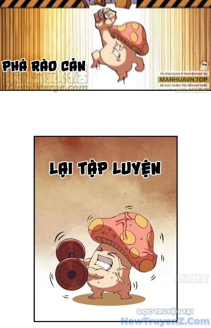 Dũng Sĩ Nấm chương 85 - trang 14